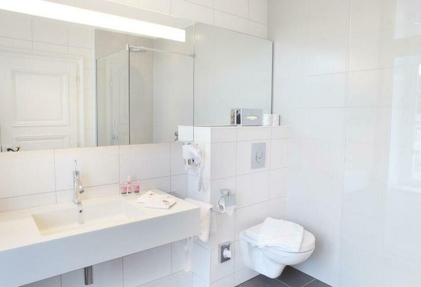 标准单人间, Logis Hôtel Ettenheim