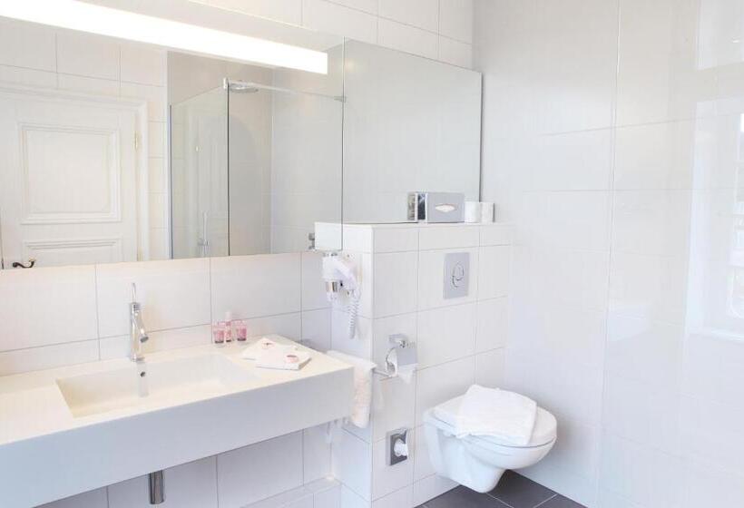 豪华房间, Logis Hôtel Ettenheim