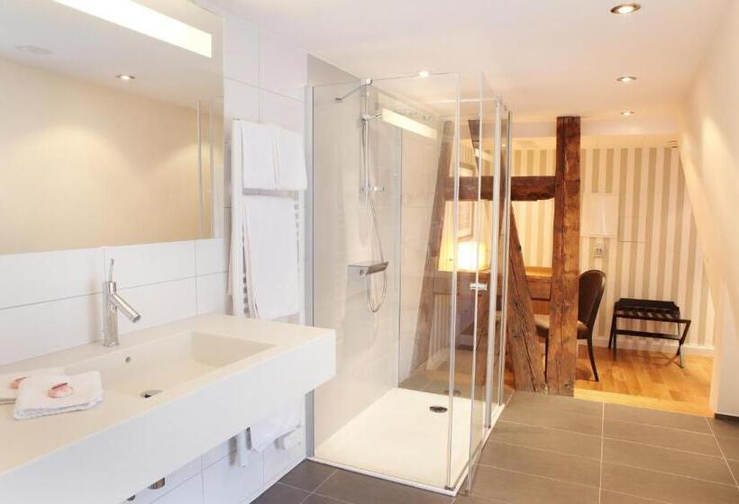 高级大房间, Logis Hôtel Ettenheim