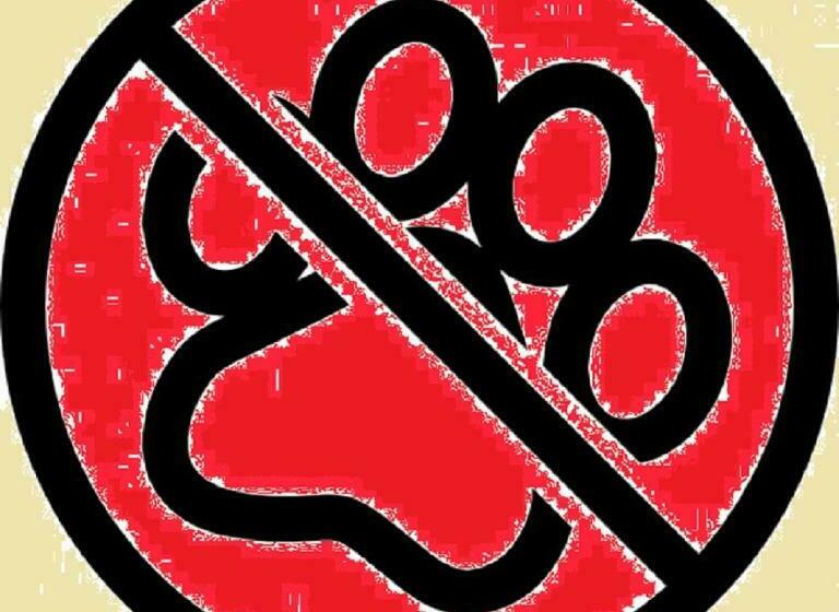 غرفة قياسية ثلاثية, Oasi