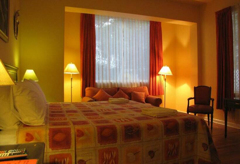 اتاق استاندارد, Casa Gonzalez