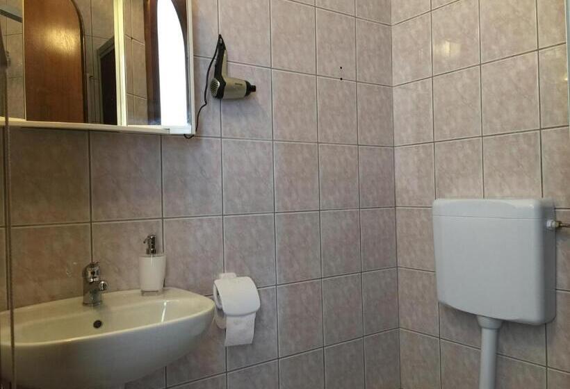 Номер Стандарт, Ruža