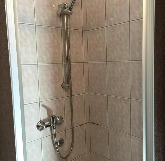 Номер Economy, Ruža