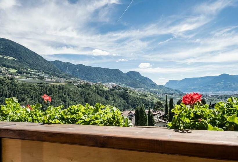 高级大房间, Zirmerhof & Residence