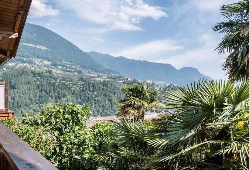 带1个卧室的豪华公寓, Zirmerhof & Residence