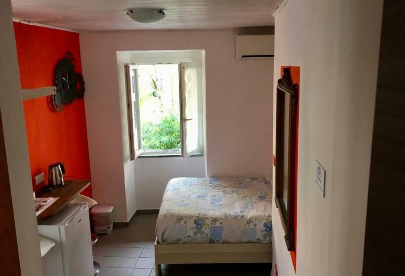 اتاق اکونومی, Affittacamere Rio Centrale