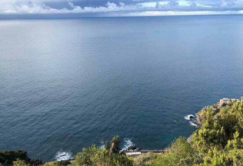 اتاق اکونومی, Affittacamere Rio Centrale