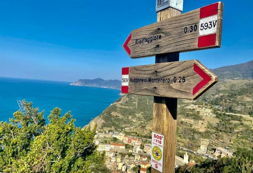 اتاق اکونومی, Affittacamere Rio Centrale