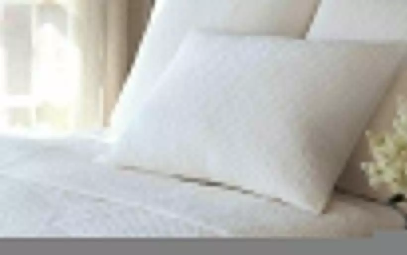 スタンダードルーム, Steverbett
