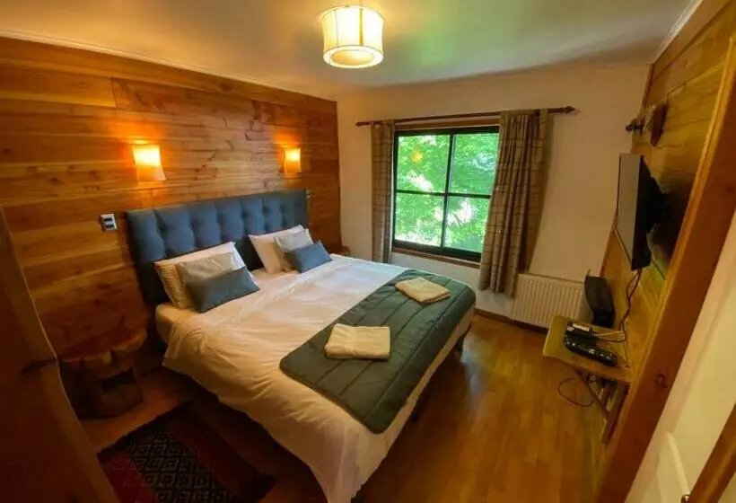Standardzimmer, Andes Pucón