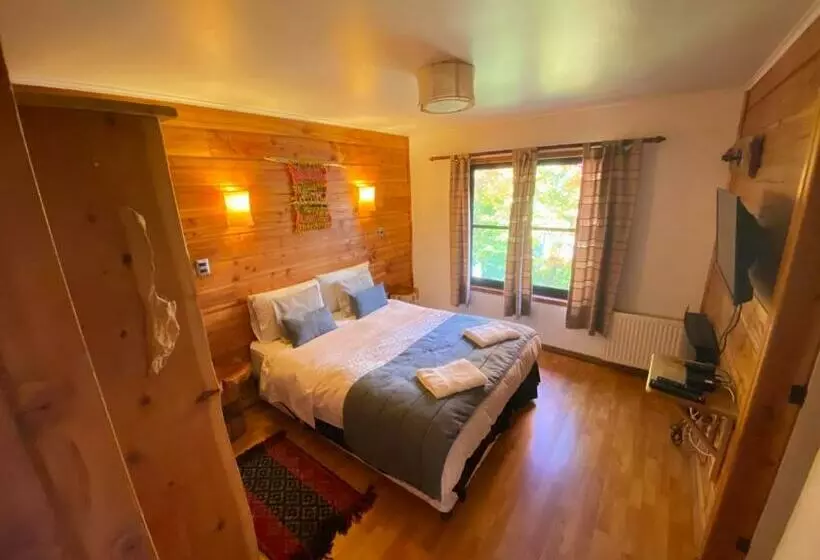Standardzimmer, Andes Pucón