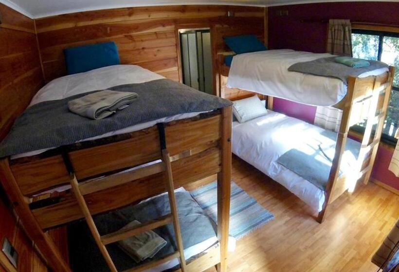 اتاق استاندارد چهار تخته, Andes Pucón