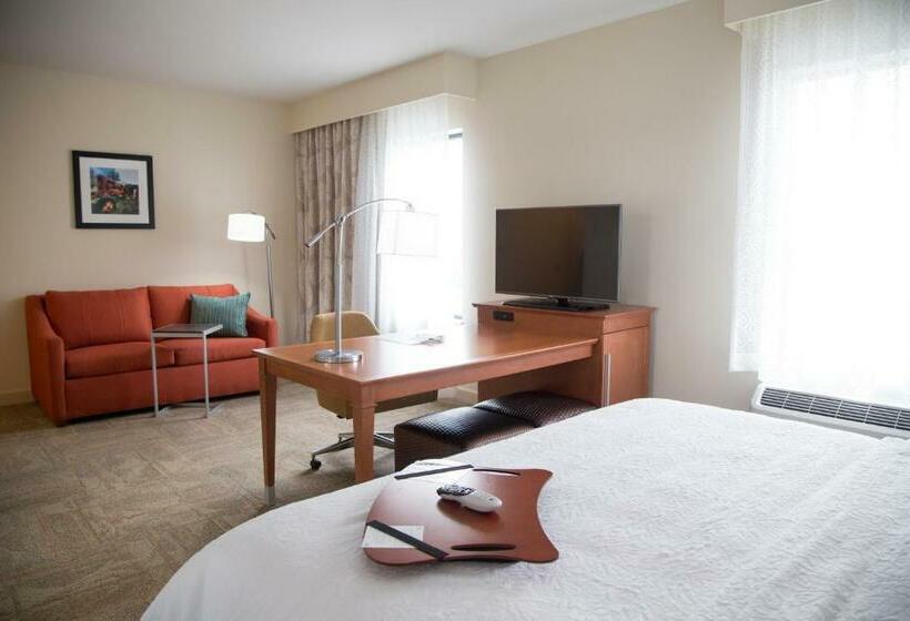 Студио Стандарт Кровать Кинг, Hampton Inn & Suites Mckinney