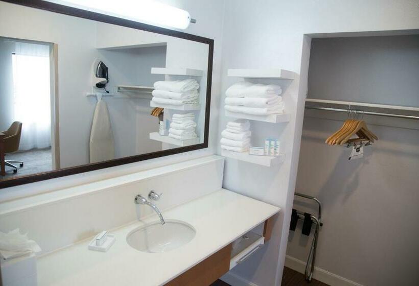 סטודיו סטנדרט, מיטה זוגית, Hampton Inn & Suites Mckinney