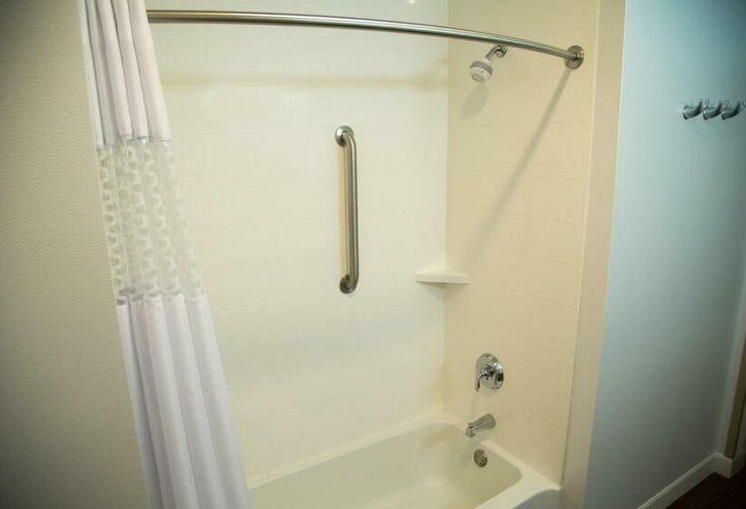 חדר סטנדרט, מיטת קינג, מותאם לאדם עם מוגבלויות, Hampton Inn & Suites Mckinney