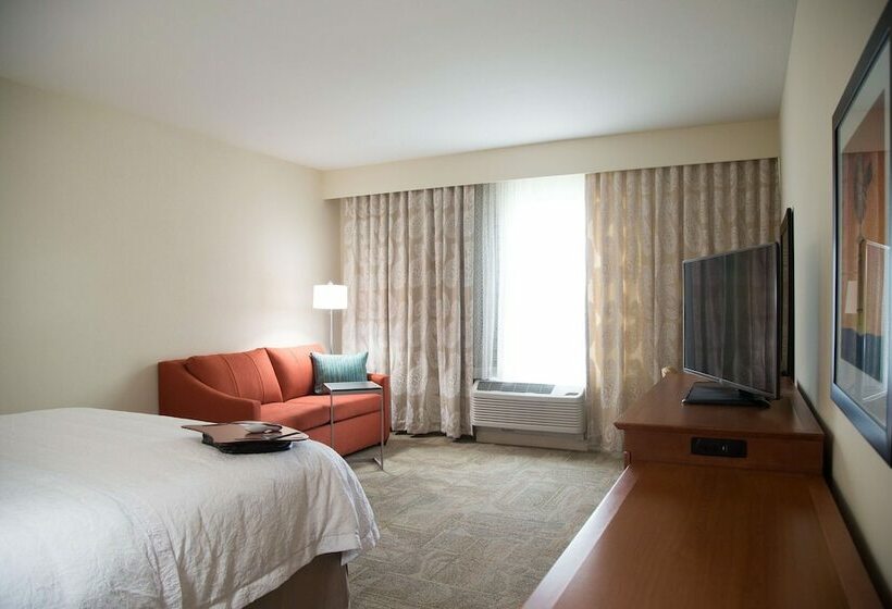 חדר סטנדרט עם מיטת קינג, Hampton Inn & Suites Mckinney