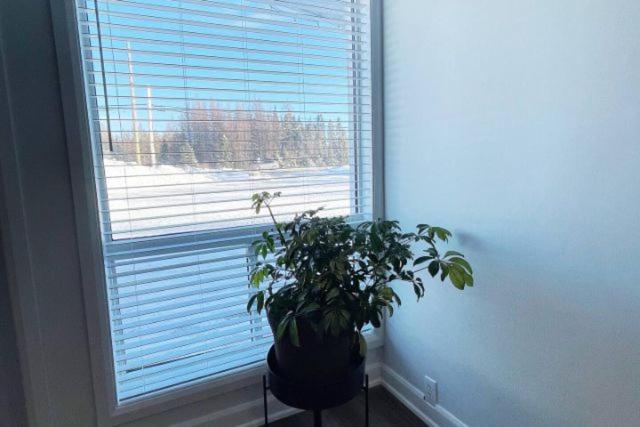 شقة سوبريور غرفة واحدة, Bay Motel