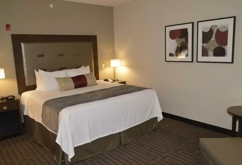 身障者適用キングサイズベッドルーム, Best Western Plus Stevens County Inn