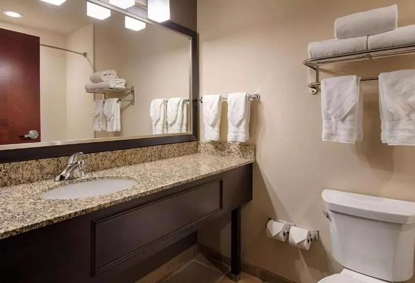 キングサイズベッドのスタンダードルーム, Best Western Plus Stevens County Inn