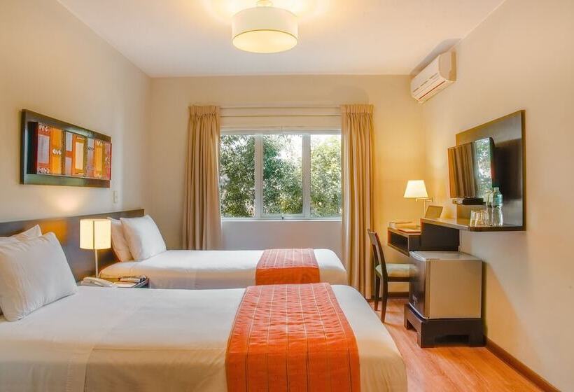 标准间, Girasoles