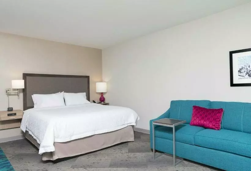 キングサイズベッドのスタンダードルーム, Hampton Inn & Suites Chicago Schaumburg