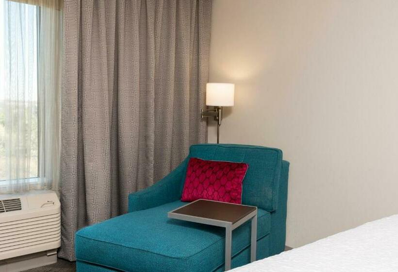 キングサイズベッドのスタンダードルーム, Hampton Inn & Suites Chicago Schaumburg