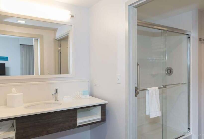 סטודיו סטנדרט מיטה זוגית, Hampton Inn & Suites Chicago Schaumburg