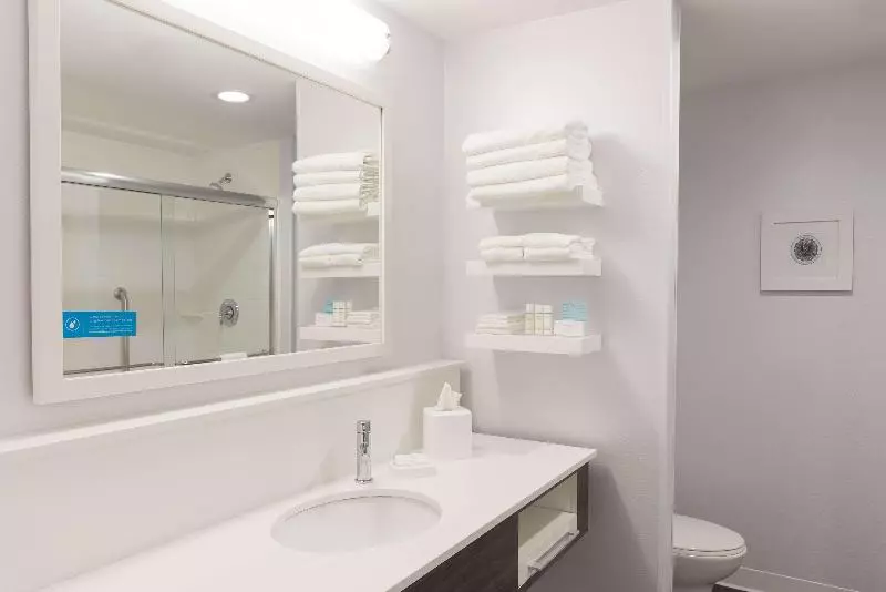 キングサイズベッドのスタンダードルーム, Hampton Inn & Suites Chicago Schaumburg