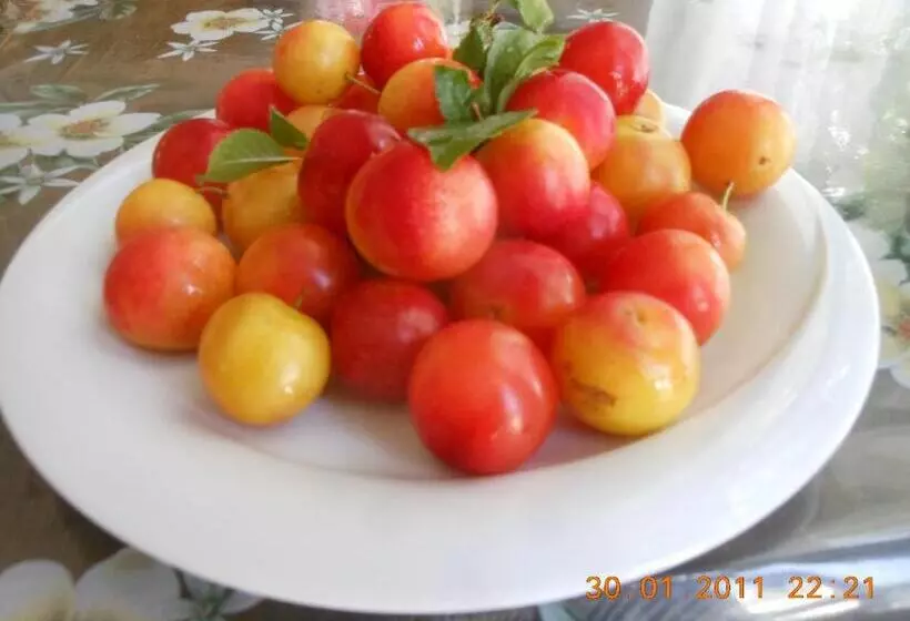اتاق استاندارد سه تخته با بالکن, Afrodite