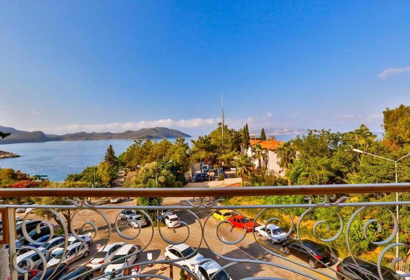 חדר דלוקס עם מרפסת נוף לים, Arnna