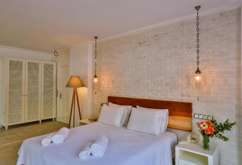 חדר דלוקס עם מרפסת נוף לים, Arnna