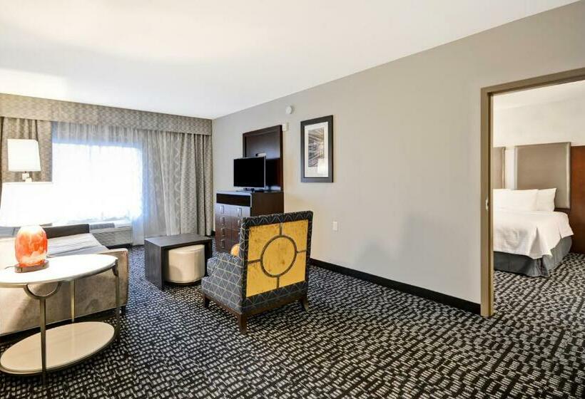 带大床的套房, Homewood Suites By Hilton Birmingham Downtown Near Uab