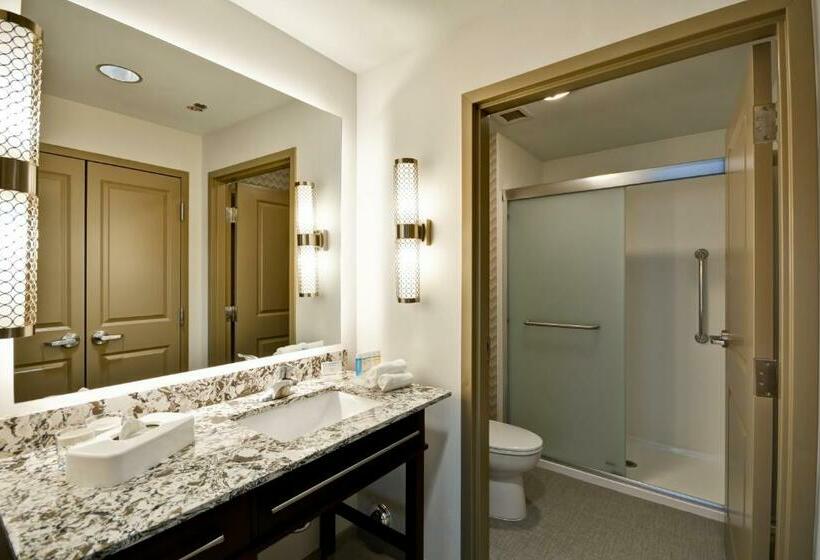 带大床的标准工作室, Homewood Suites By Hilton Birmingham Downtown Near Uab