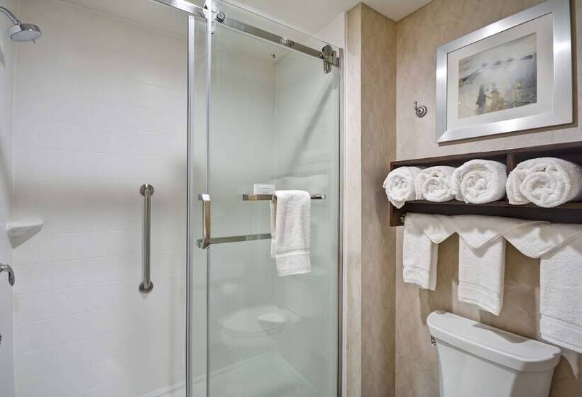 سوئیت با تخت بزرگ, Homewood Suites By Hilton Galveston