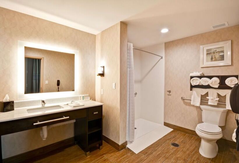 Студия Стандарт Двуспальная Кровать, Homewood Suites By Hilton Galveston