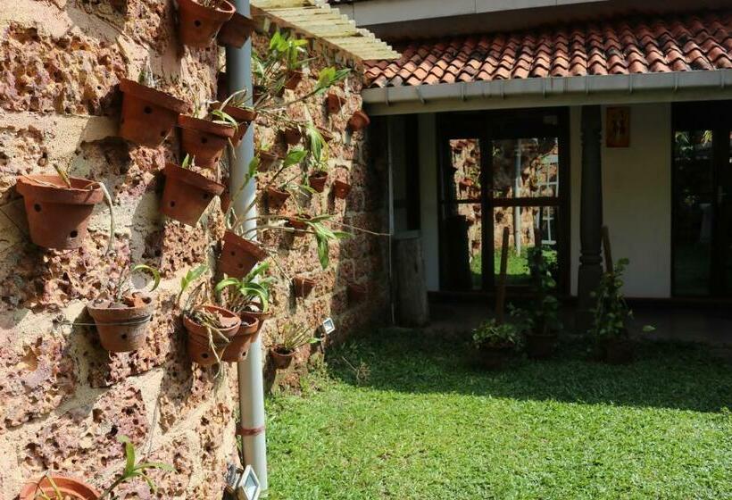 Deluxe Zimmer, Pavana