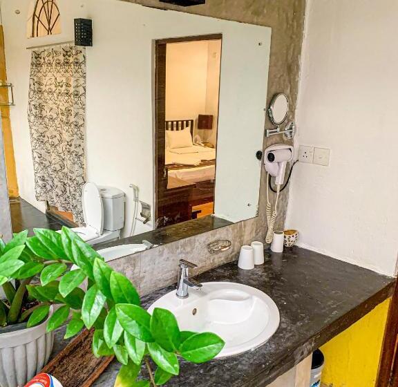 Standardeinzelzimmer, Pavana