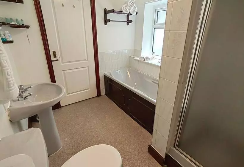 １ベッドルームアパートメント, The Cardigan Bay Guest House