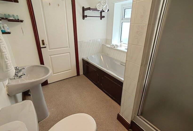 דירת חדר, The Cardigan Bay Guest House