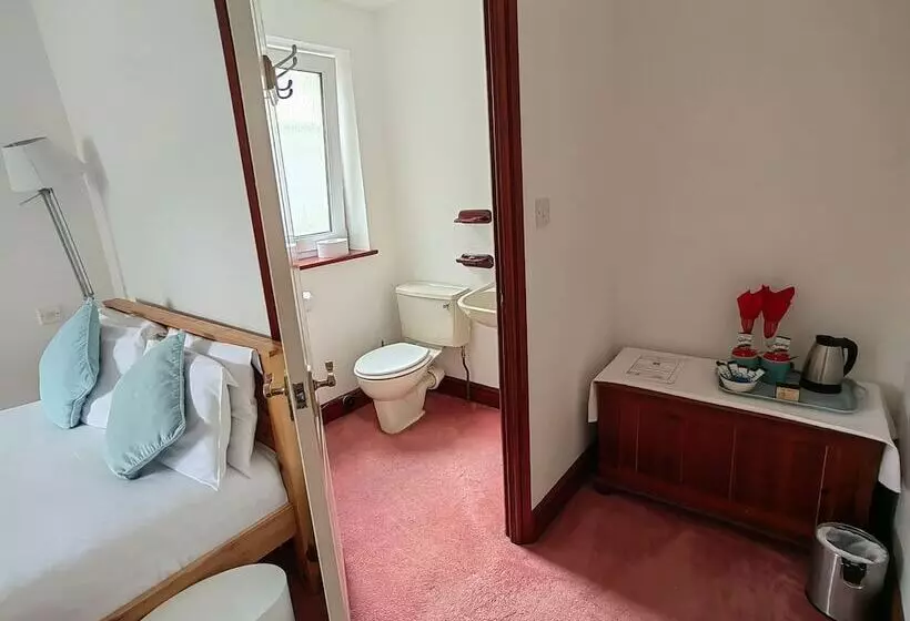 １ベッドルームアパートメント, The Cardigan Bay Guest House