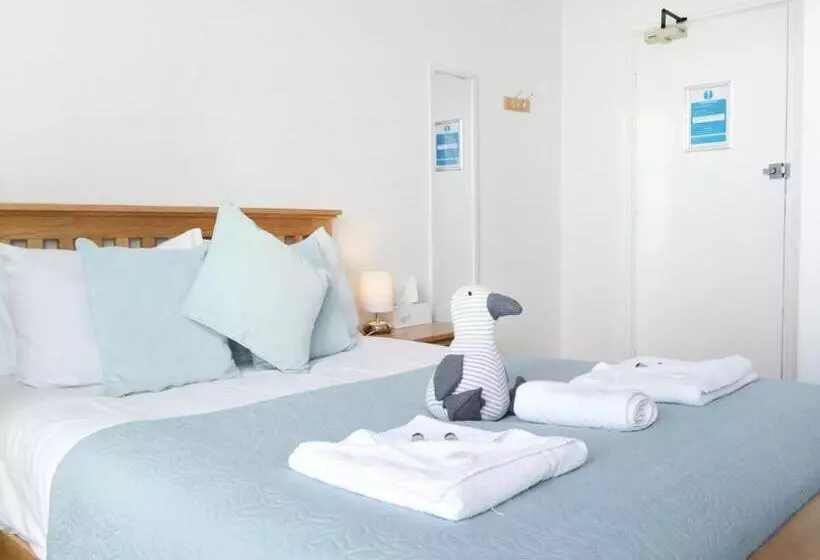 スタンダードルーム, The Cardigan Bay Guest House