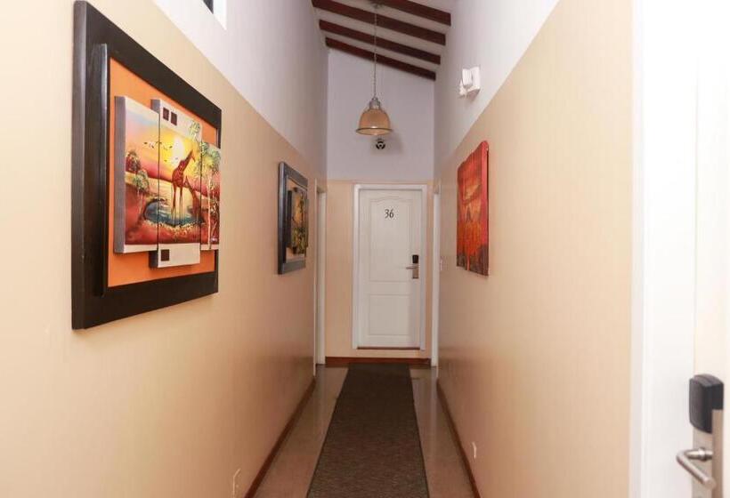Quarto Estandar Individual, Carolina Montecarlo