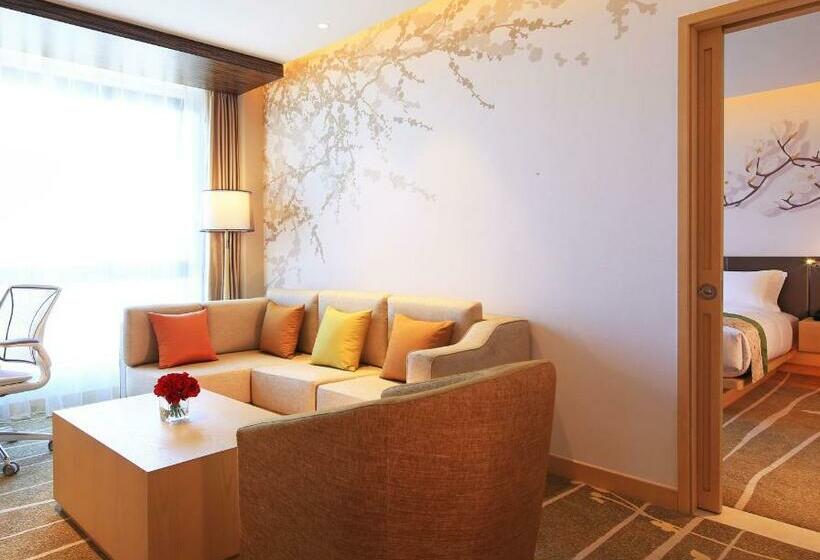 سوئیت با تخت بزرگ, Hilton Garden Inn Xi An High Tech Zone