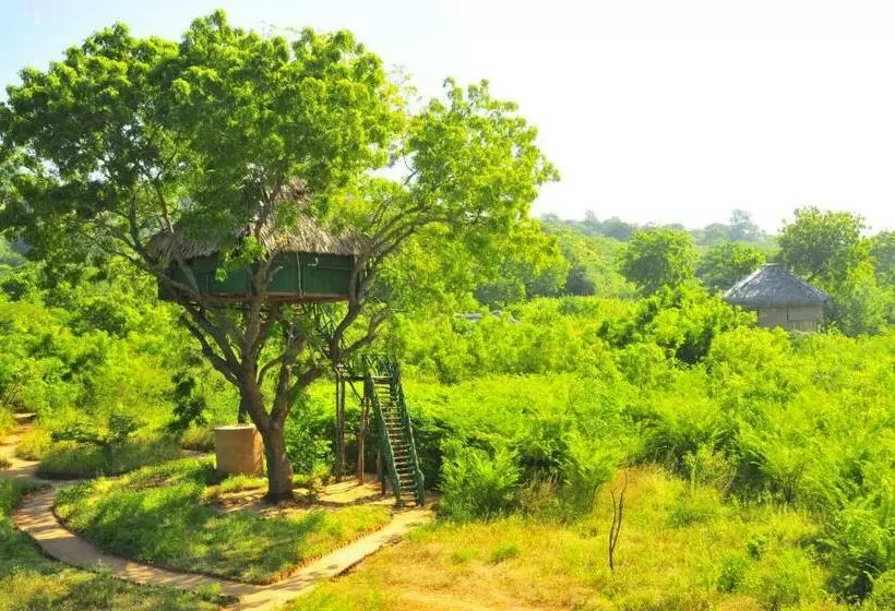 Talo 1 Makuuhuone, Yala Beddegama Eco