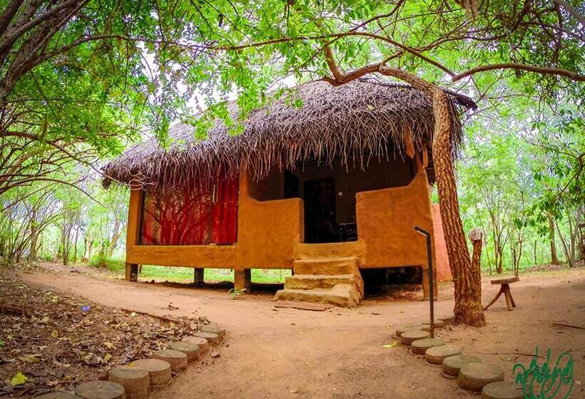 Номер Стандарт Вид на Сад, Yala Beddegama Eco