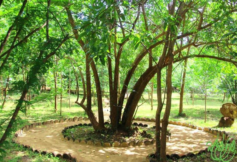 Дом 1 Спальня, Yala Beddegama Eco