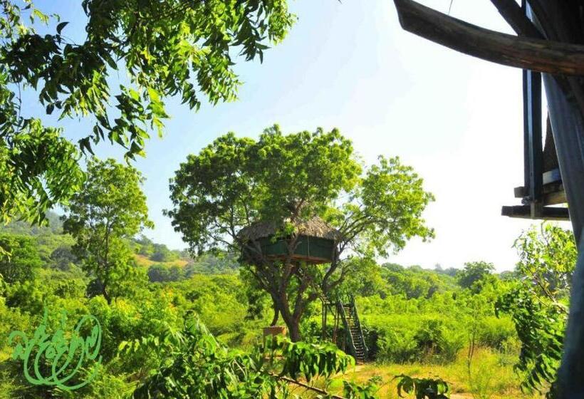 Дом 1 Спальня, Yala Beddegama Eco