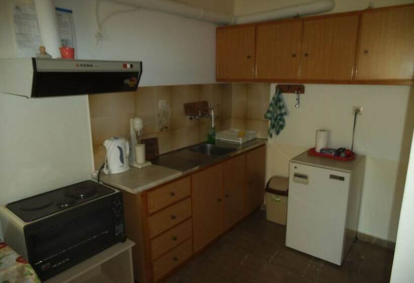 סטודיו סטנדרטי נוף לגינה, Villa Xenos Studios & Apartments