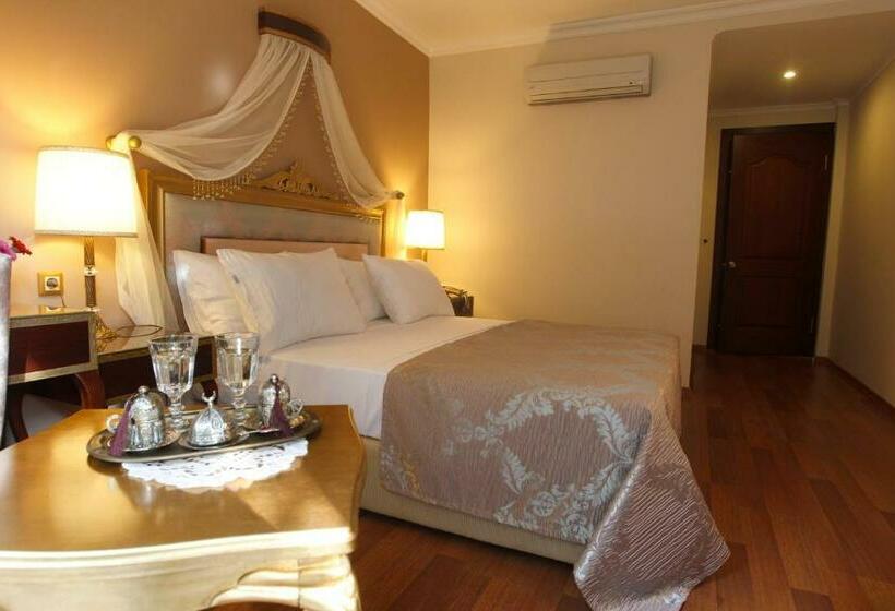 Номер Стандарт, Saint John