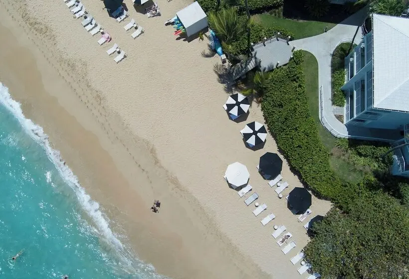 سوئیت با تخت بزرگ, Buoy Haus Beach Resort St. Thomas, Autograph Collection